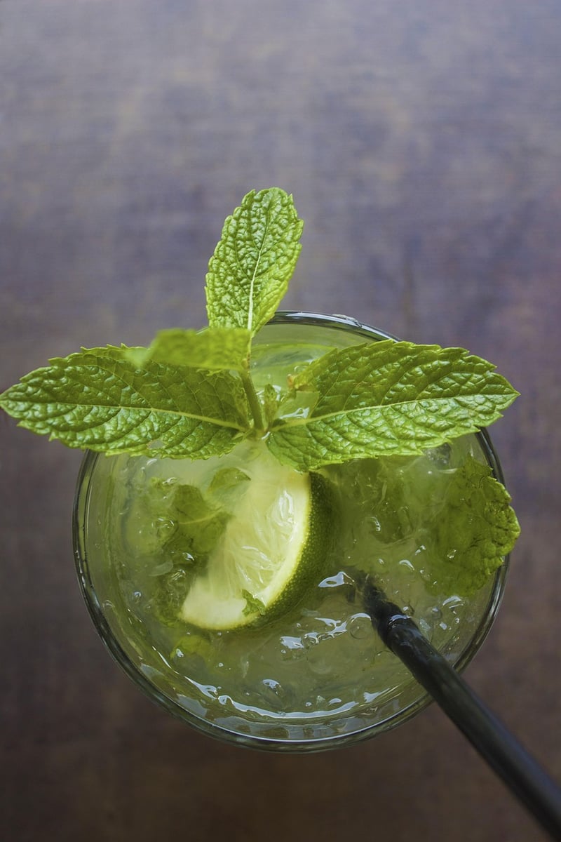 Mojito Cocktail